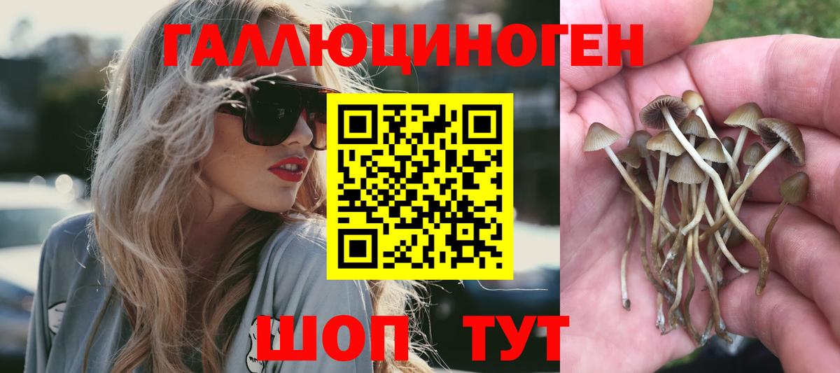 Галлюциногенные грибы мицелий  Галлюциногенные грибы Cubensis  закладка  Топки  Вход с VPN 