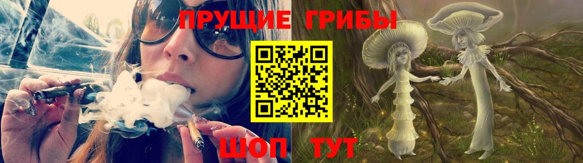 Псилоцибиновые грибы GOLDEN TEACHER Топки